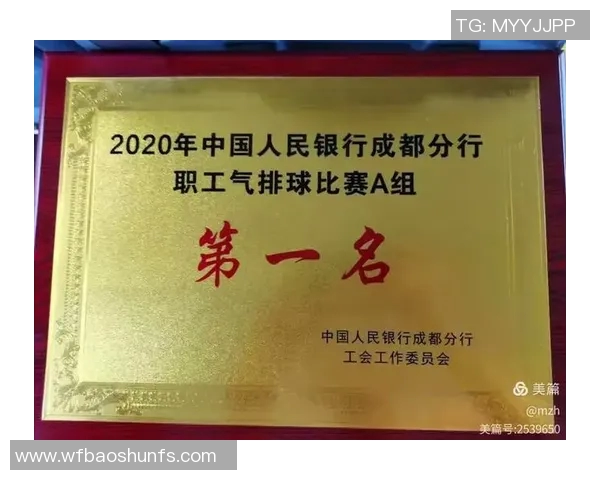 成都排球队总决赛表现分析：意识与战术的完美结合