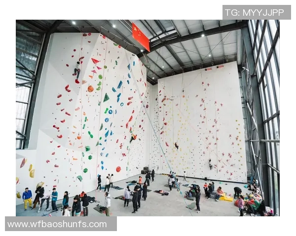 杭州攀岩队的控制得失分析与未来发展展望 杭州攀岩队的控制得失分析与未来发展展望