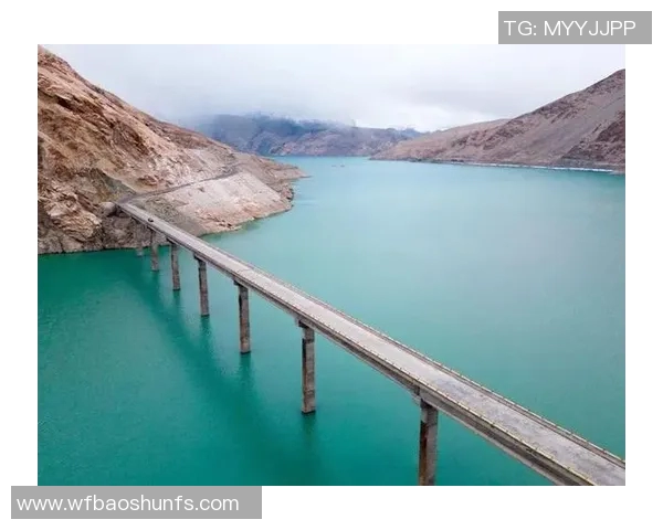 极限运动战术探秘：西安极限运动队的创新阵地战体系解析