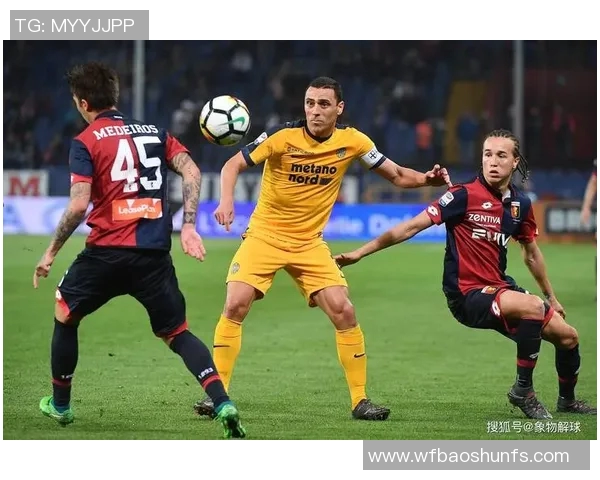 尼斯与雷恩激战正酣比赛结果揭晓精彩瞬间回顾与分析