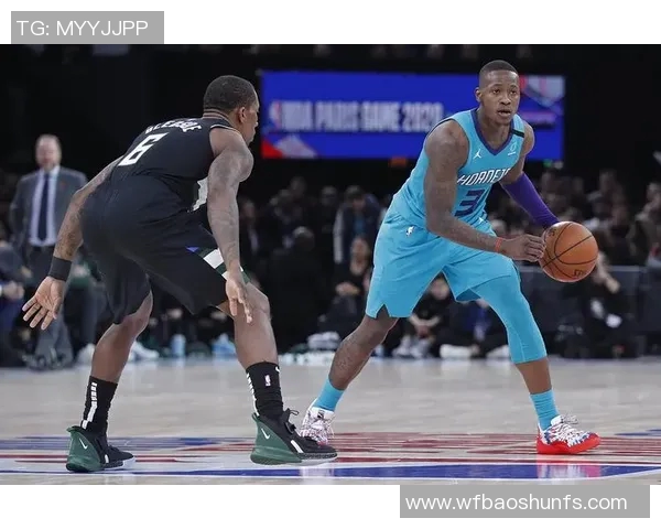 特里罗齐尔的篮球之路与成长故事探秘