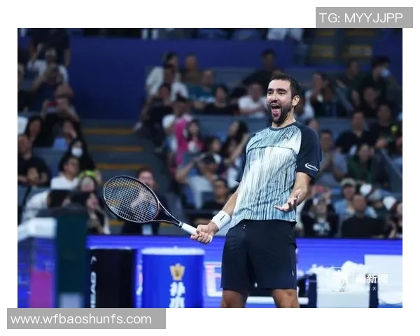 费德勒与西里奇巅峰对决回顾网坛传奇的精彩瞬间与激烈较量