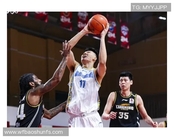 韩德君：从青涩少年到篮球巨星的辉煌历程与传奇故事