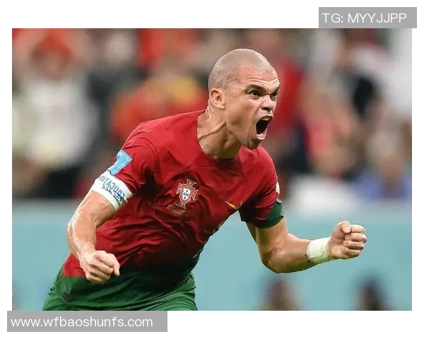 2016年葡萄牙与瑞士精彩对决回顾与分析