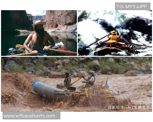 伊萨克的传奇旅程：探索科学与艺术交汇的无限可能